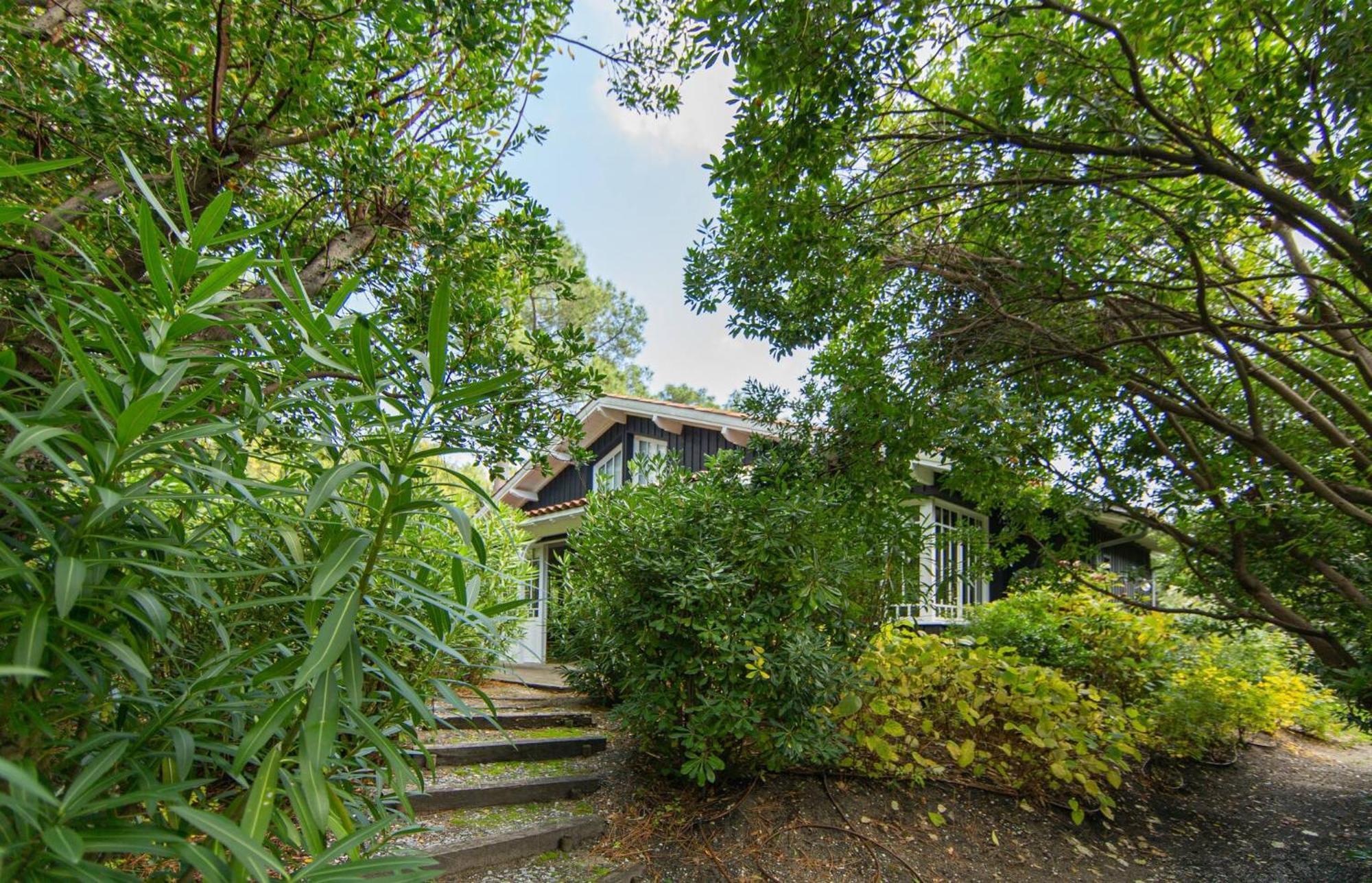 Villa Lolita Pour 6 Pers Au Cap Ferret Lège-Cap-Ferret エクステリア 写真